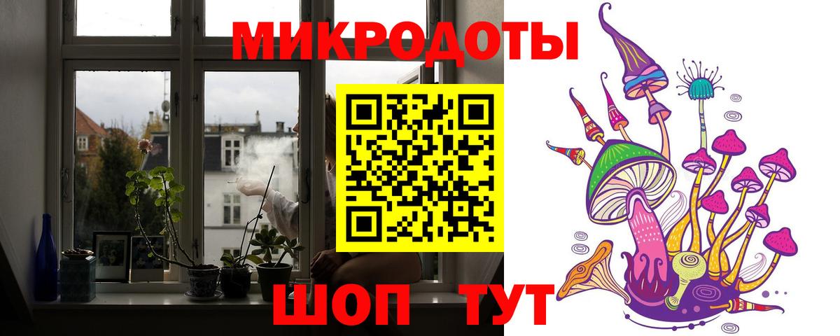 Псилоцибиновые грибы Psilocybe  Вход с VPN  Карасук 
